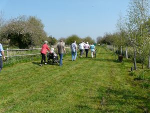Jubilee Woodland Open to the Public